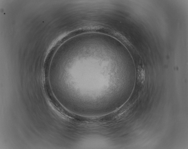 X0000076240726200610051154