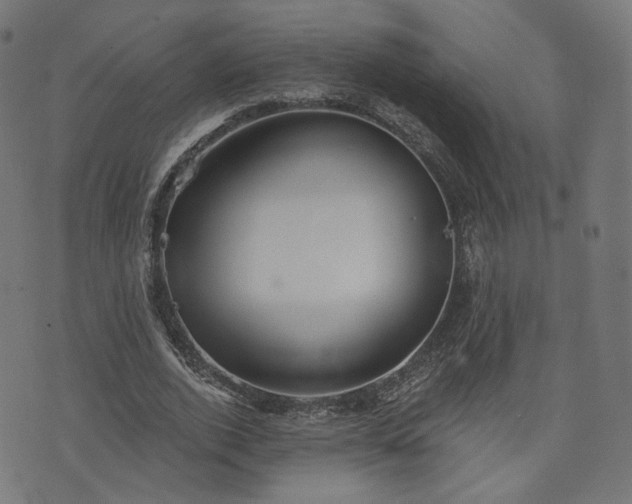 X0000076240728200610051154