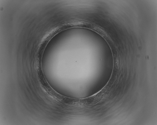 X0000076240732200610051154