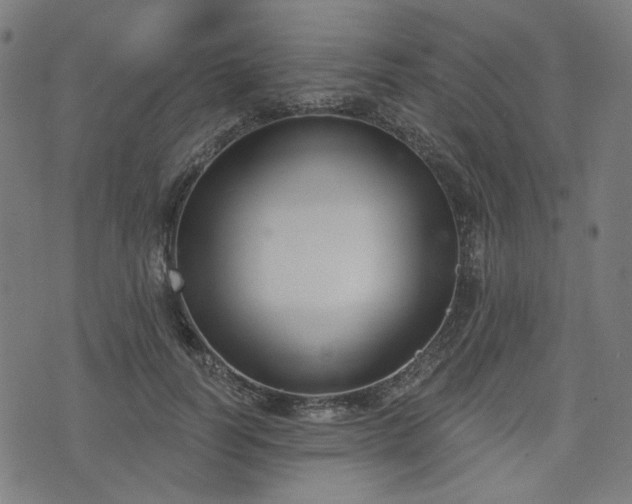 X0000076240746200610051155