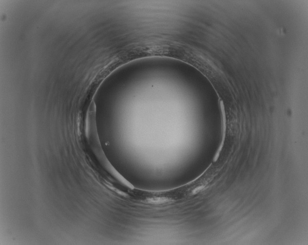 X0000076240748200610051155