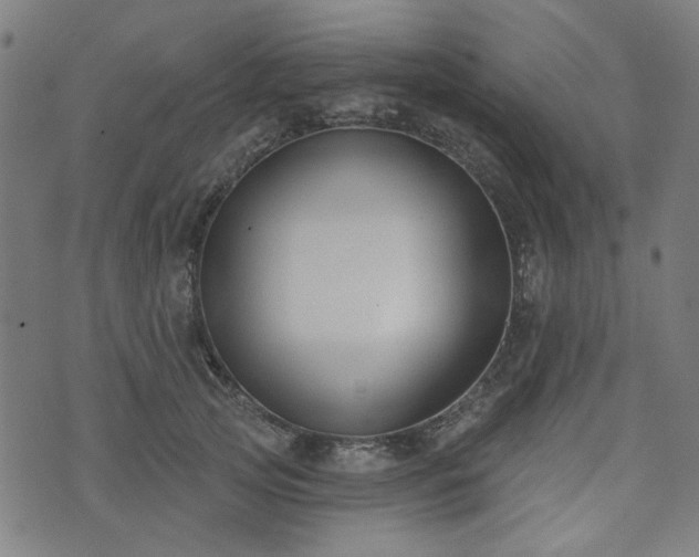 X0000076240753200610051155
