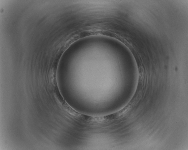 X0000076240767200610051155