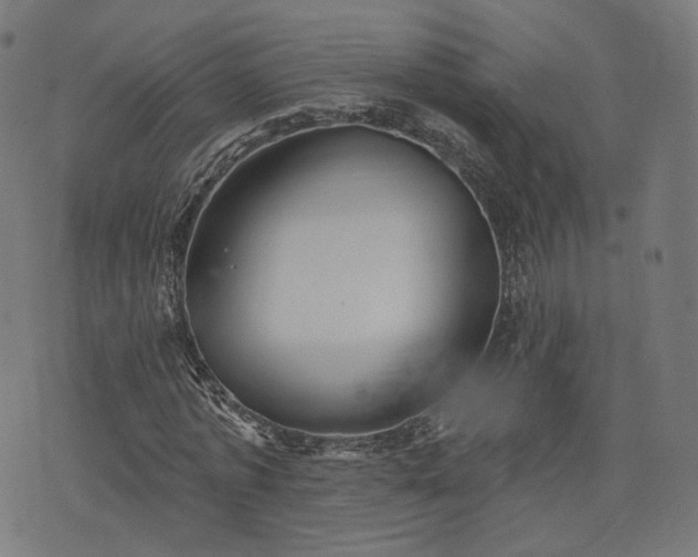 X0000076240773200610051154