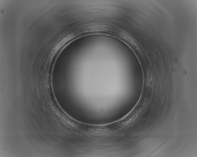 X0000076240786200610051154