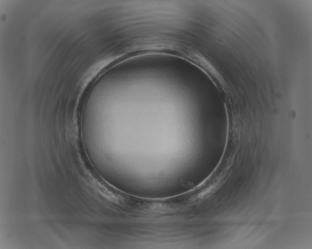 X0000076240787200610051154