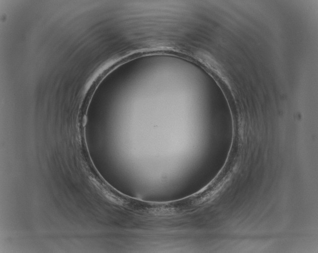 X0000076240789200610051154