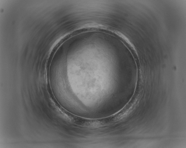 X0000076240791200610051154