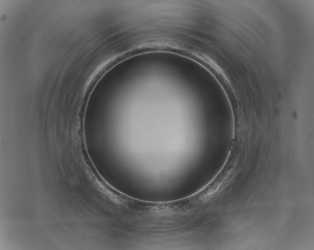 X0000076240799200610051154