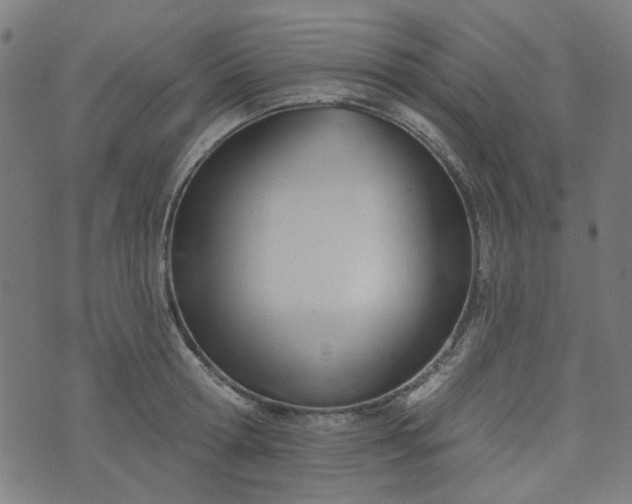 X0000076240802200610051154