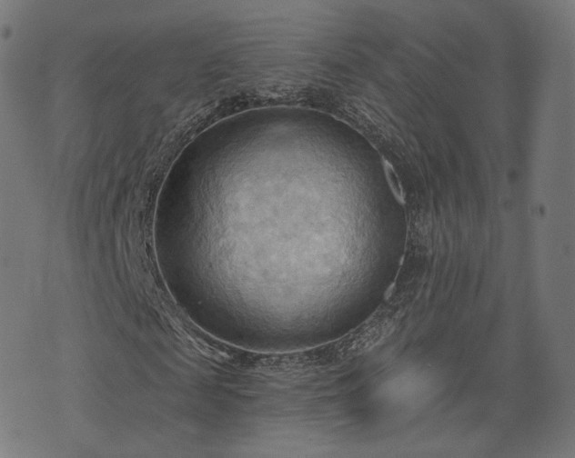 X0000076240817200610051153