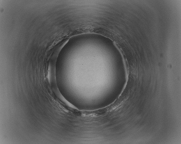 X0000076240818200610051153