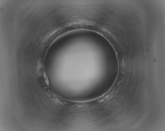 X0000076240822200610051153
