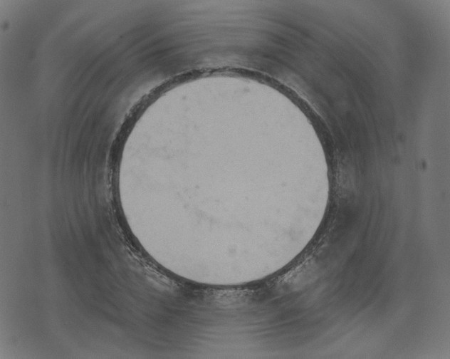 X0000076240832200610051153