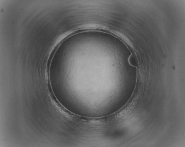 X0000076240839200610051153