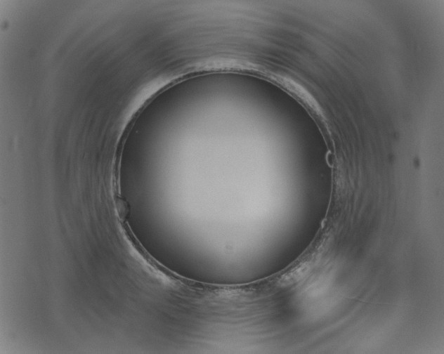 X0000076240847200610051153