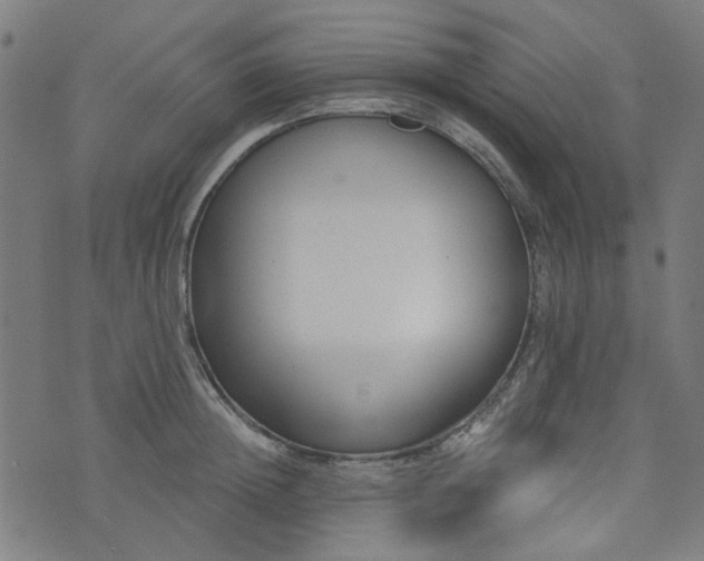 X0000076240852200610051153