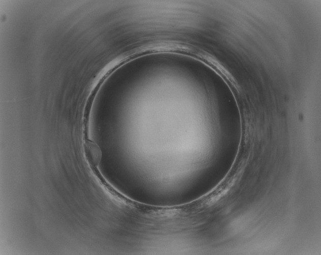X0000076240853200610051153