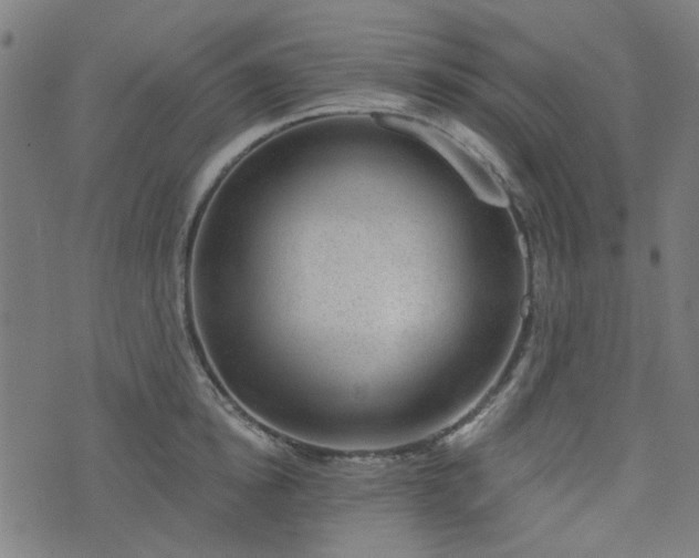 X0000076240854200610051153