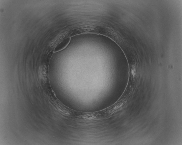X0000076240867200610051153