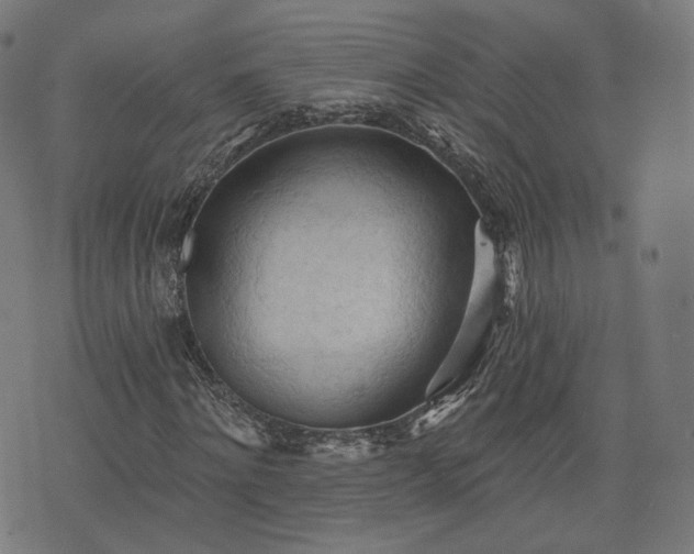X0000076240868200610051152
