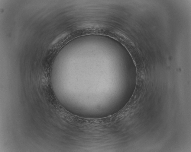 X0000076240869200610051152