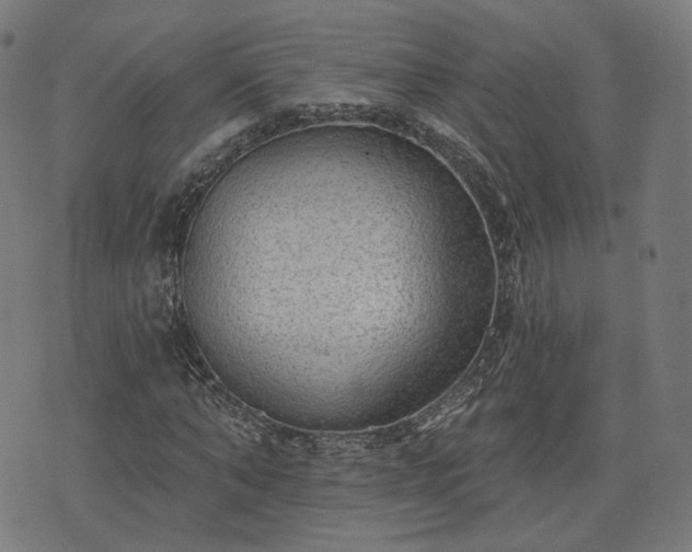 X0000076240870200610051152