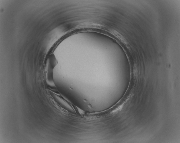 X0000076240877200610051152