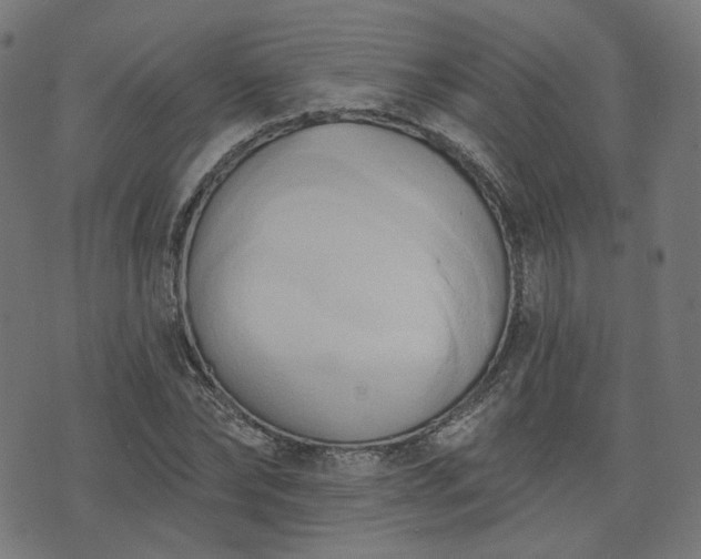 X0000076240878200610051152