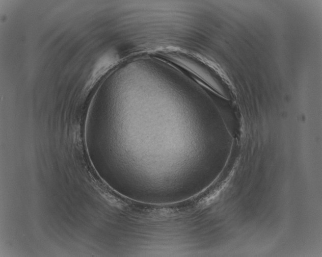 X0000076240881200610051152