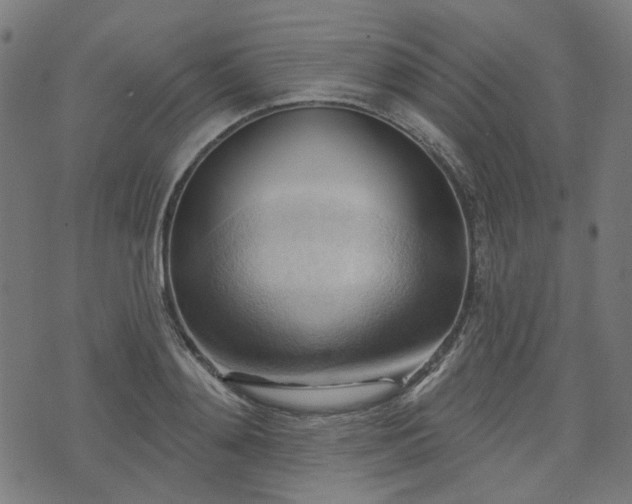 X0000076240892200610051152