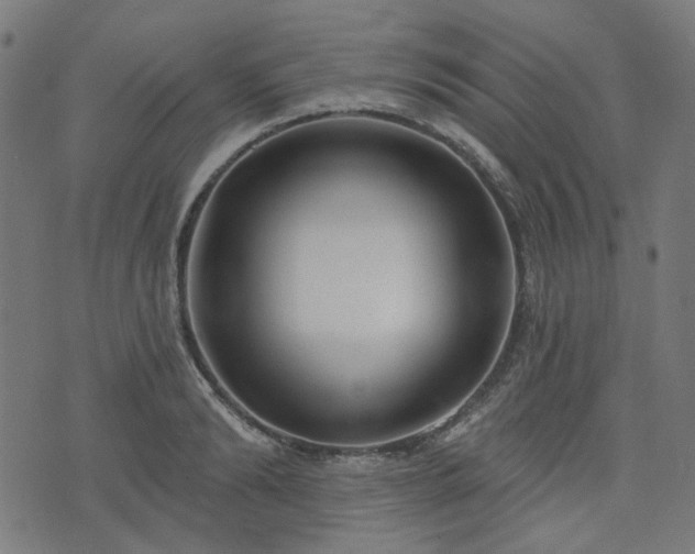 X0000076240894200610051152