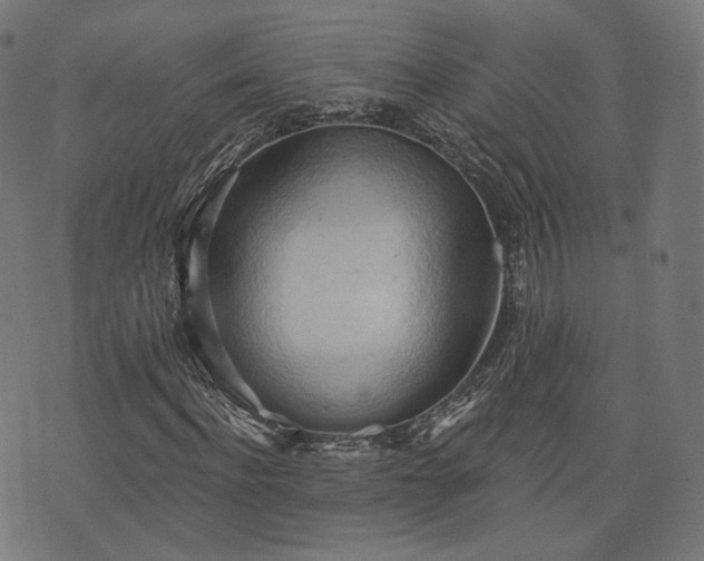 X0000076240916200610051151