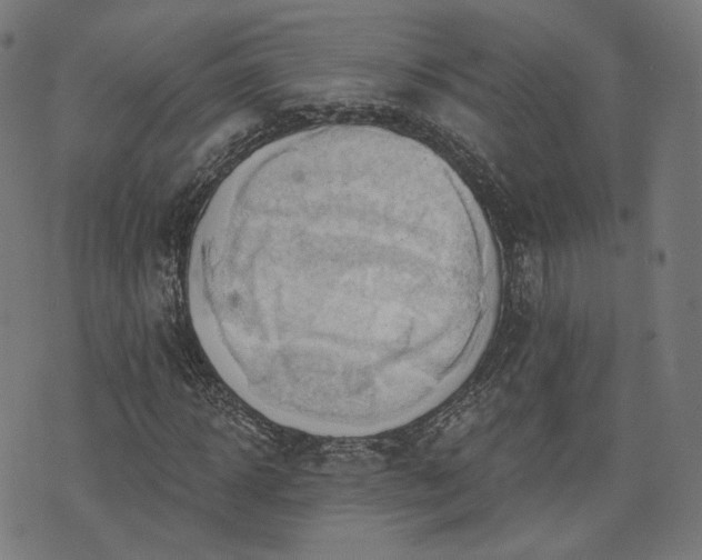X0000076240918200610051151