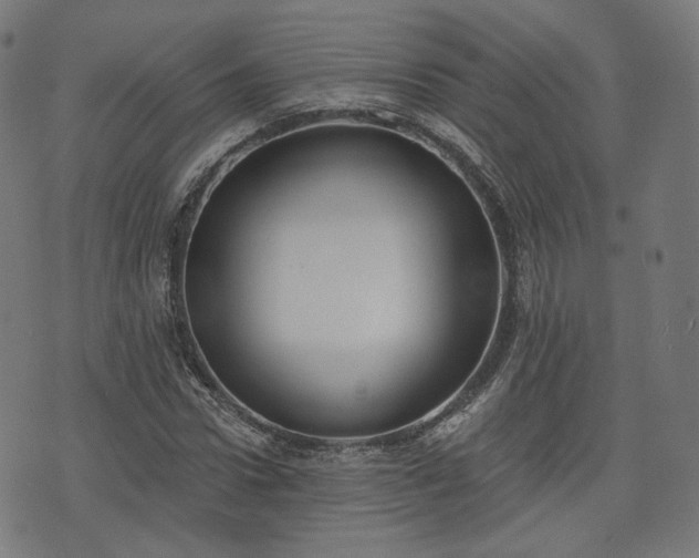 X0000076240922200610051151