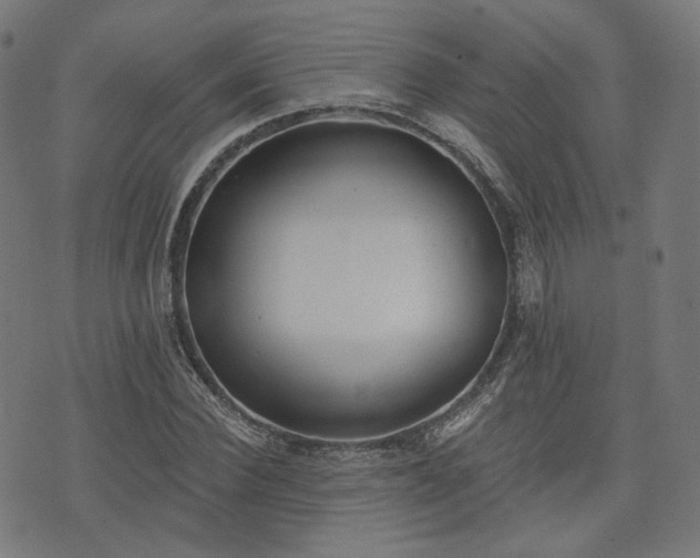 X0000076240924200610051151