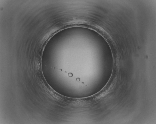 X0000076240929200610051151