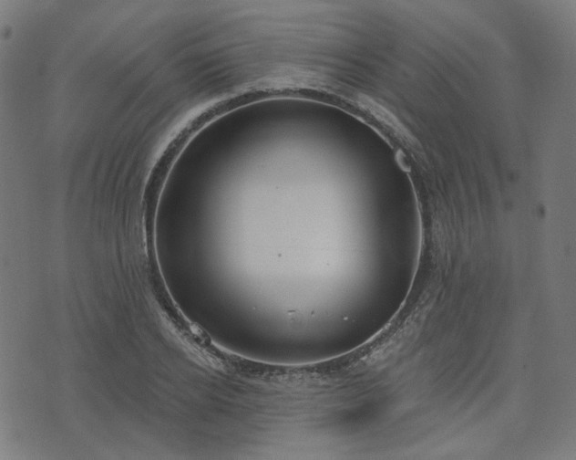X0000076240934200610051151