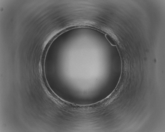 X0000076240936200610051151