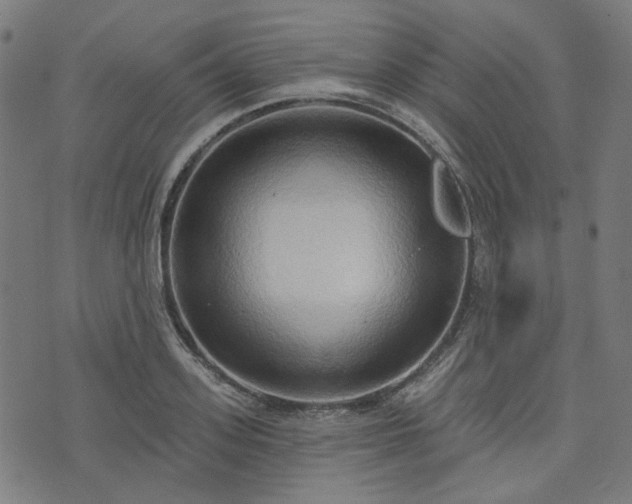 X0000076240939200610051151