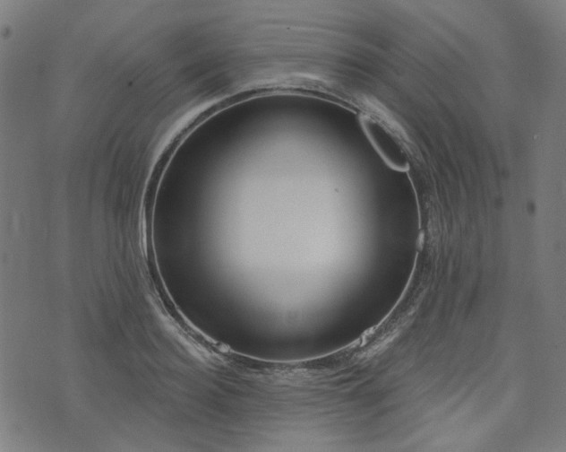X0000076240940200610051151