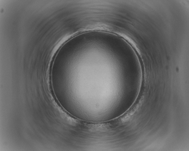 X0000076240949200610051152