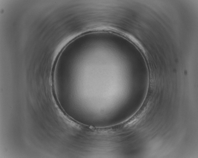 X0000076240951200610051152