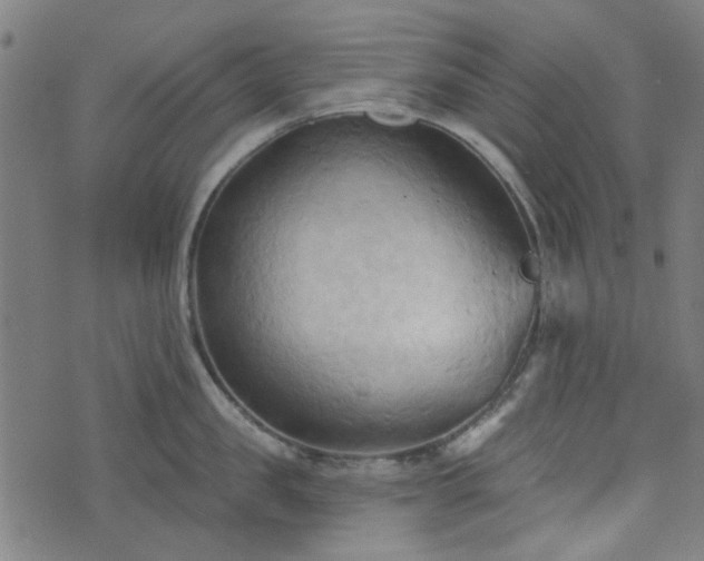 X0000076240957200610051152