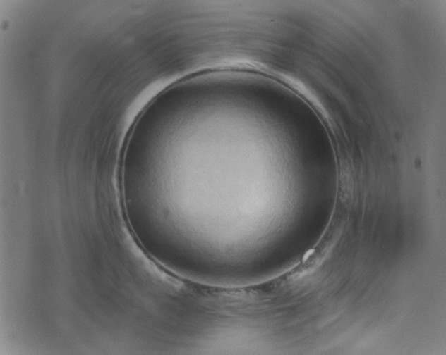 X0000076240959200610051152
