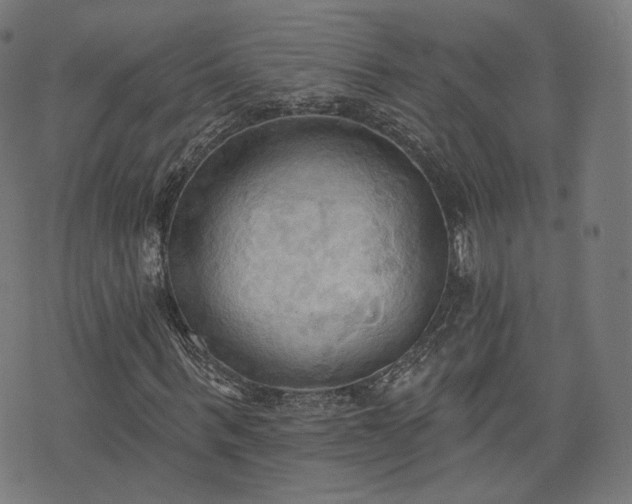 X0000076240963200610051151