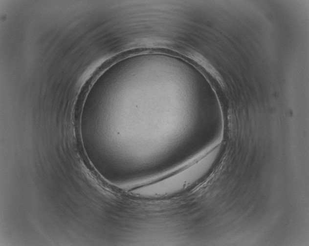 X0000076240972200610051151