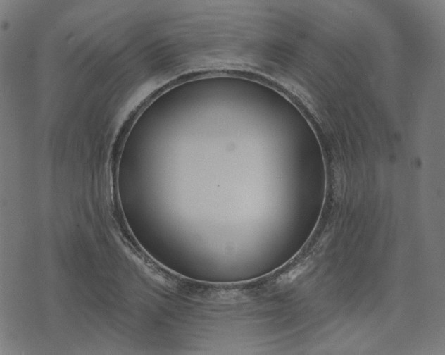 X0000076240982200610051151