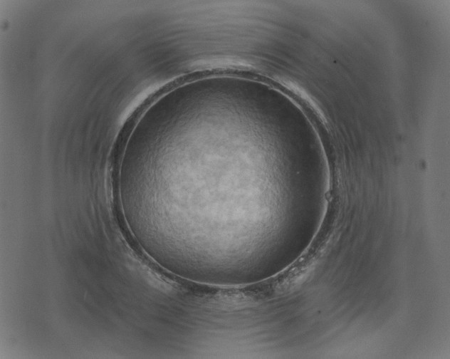 X0000076240983200610051151