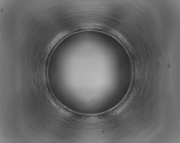 X0000076240986200610051151